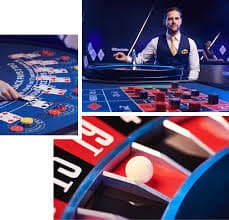 Dashboard platform woles4d menampilkan kategori sportsbook, live dealer, dan slot dalam satu layar